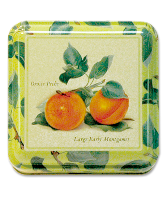 Confectionery Tin Apricots